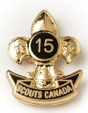 PIN - 15 YR SERVICE