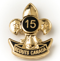 PIN - 15 YR SERVICE