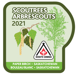 ÉCUSSON - SCOUTREES 2021